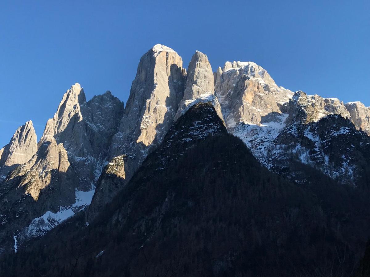 The Bijoux - Dolomites Apartment Агордо Екстериор снимка